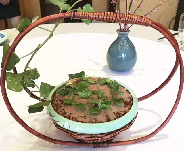 1501126105111832.jpg 9.jpg